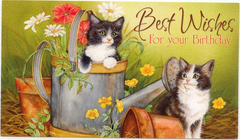 happy birthday cat cards. Birthday Wishes Cat.