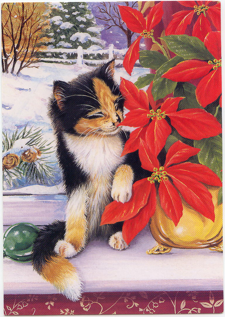 http://marlendy.files.wordpress.com/2010/12/cat-poinsettas-christmas-card.jpg